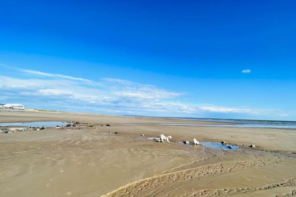 2 Bedroom Holiday Home In The Heart Of West Wales เซนต์เคลียร์ส ภายนอก รูปภาพ